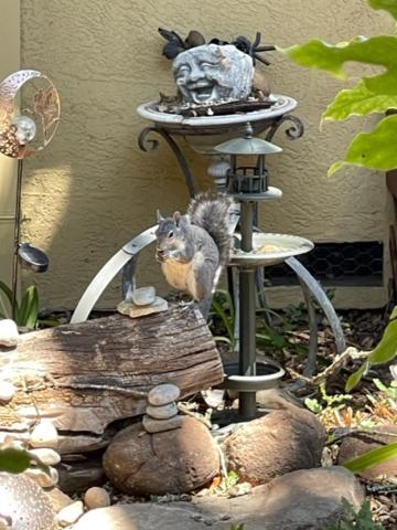 Glen Ellen Inn Secret Cottages Esterno foto