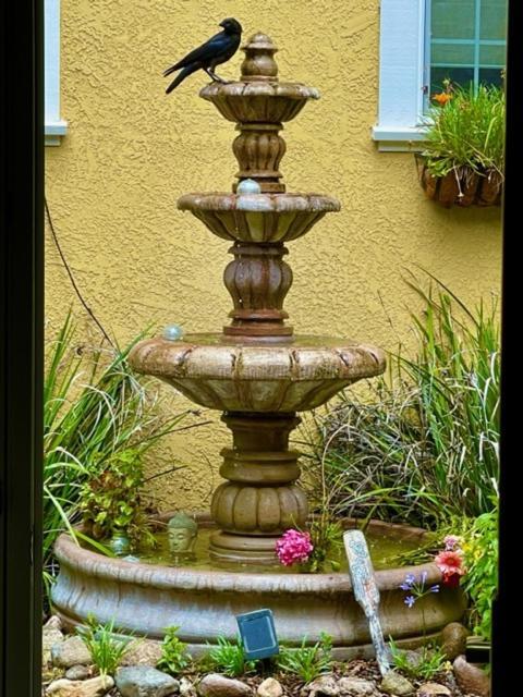 Glen Ellen Inn Secret Cottages Esterno foto