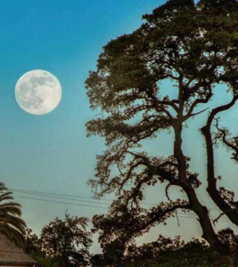 Glen Ellen Inn Secret Cottages Esterno foto