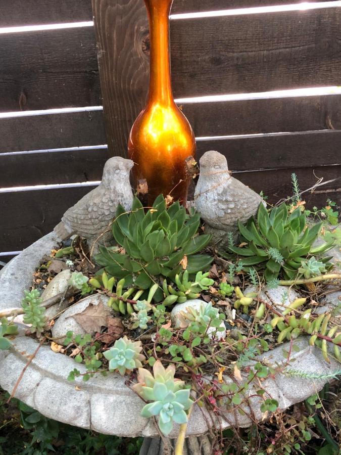 Glen Ellen Inn Secret Cottages Esterno foto